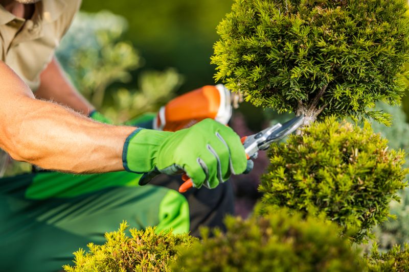 Garden and Tree Services