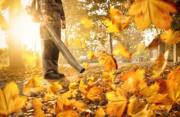 Leaf Blowing Service in Jonesboro