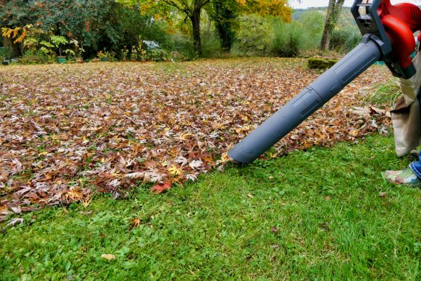Leaf Vacuuming Service in Jonesboro