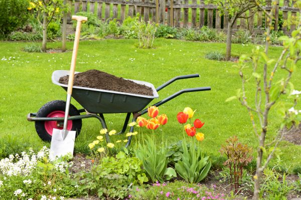Cost of Spring Yard Cleanup in Jonesboro