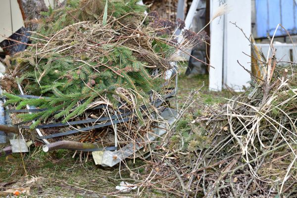 Yard Waste Removal Service in Jonesboro