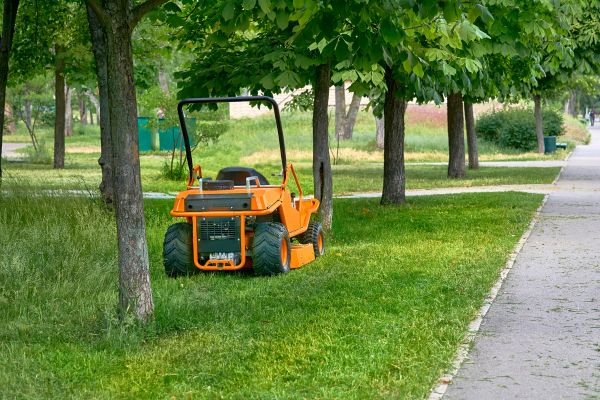 Landscaping Cleanup Service in Jonesboro