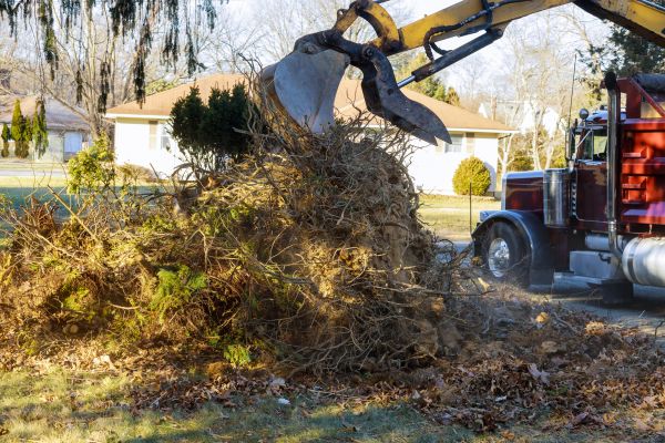 Storm Debris Removal in Jonesboro