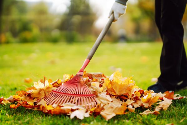 Ditch Leaf Removal in Jonesboro