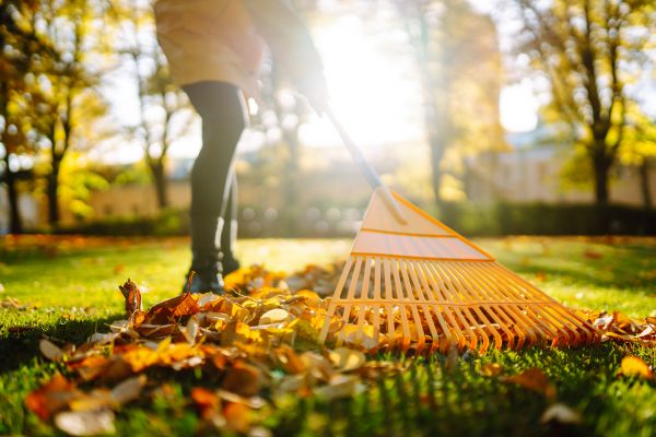 Leaves Raking in Jonesboro