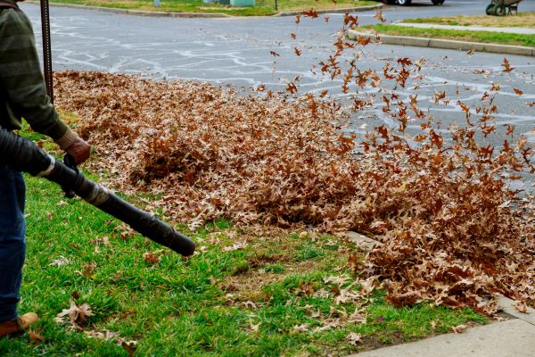 Cost of Garden Leaf Removal in Jonesboro