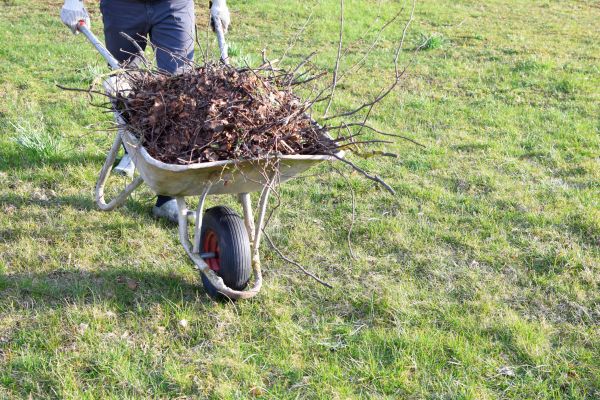 Yard Brush Removal in Jonesboro