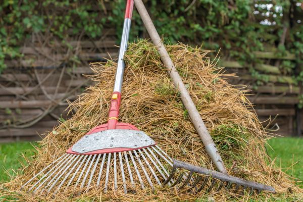 Cost of Pine Straw Clearing in Jonesboro