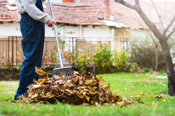 Spring Lawn Cleanup in Jonesboro
