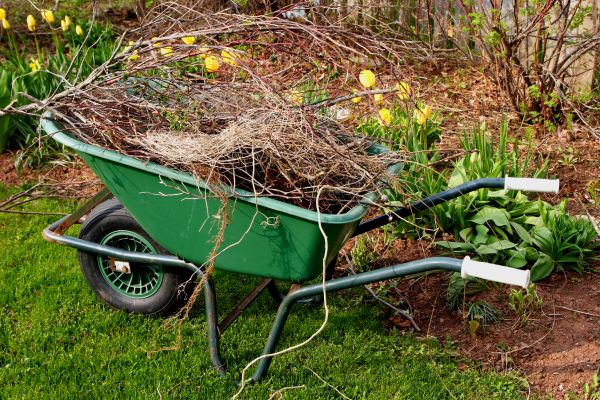 Lawn Waste Removal in Jonesboro