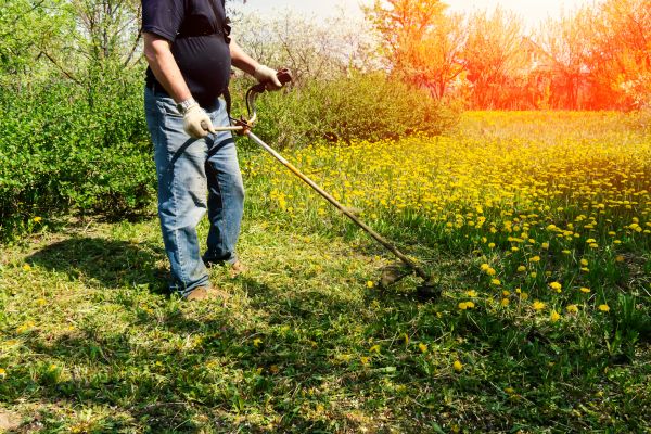 Yard Clearing Service in Jonesboro