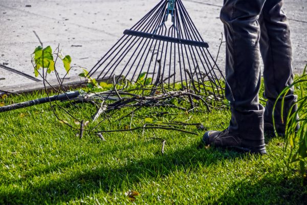 Yard Debris Cleanup in Jonesboro