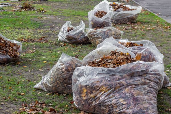 Leaf Pile Disposal in Jonesboro