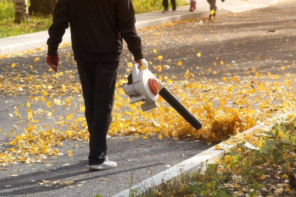 Commercial Leaf Removal in Jonesboro